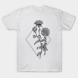 September Birth Flower Aster T-Shirt